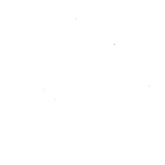 TikTok Icon