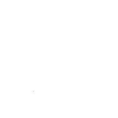 X (Twitter) Icon